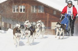 Lenk 2012 SM